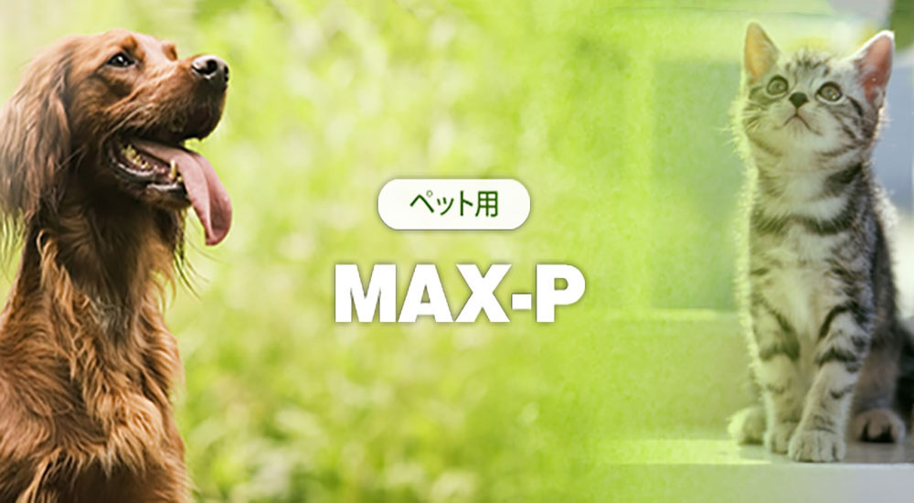 MAX-P（腸内環境改善サプリメント）